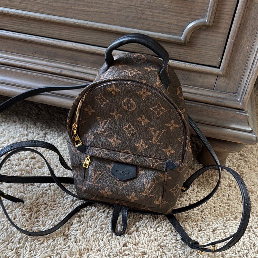 Cute Brown Backpack